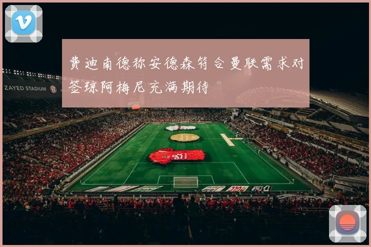费迪南德称安德森符合曼联需求对签琼阿梅尼充满期待