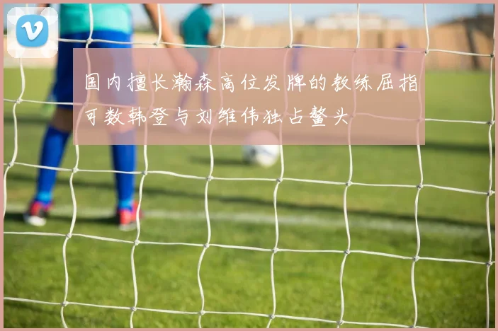 国内擅长瀚森高位发牌的教练屈指可数韩登与刘维伟独占鳌头