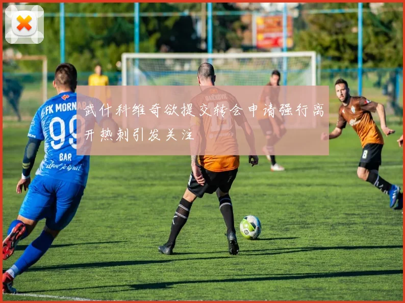 武什科维奇欲提交转会申请强行离开热刺引发关注